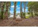 Lush backyard view with a wooden dock extending into a serene lake surrounded by trees at 4783 School Rd, Land O Lakes, FL 34638