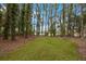 Scenic backyard with an open green lawn and mature trees and foliage at 4783 School Rd, Land O Lakes, FL 34638