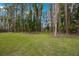 Lush green backyard with mature trees and foliage at 4783 School Rd, Land O Lakes, FL 34638