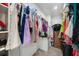 Walk-in closet with built in storage and metal clothes hangers at 504 Cleveland Ave, Largo, FL 33770