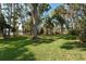 Picturesque backyard with mature trees and waterfront views, offering a serene outdoor space at 14449 Wadsworth Dr, Odessa, FL 33556
