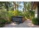 Outdoor hot tub is surrounded by lush greenery and trees, providing a private and tranquil escape at 14449 Wadsworth Dr, Odessa, FL 33556