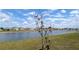 Water view with a lakeside grassy area, trees, blue skies and a row of houses at 16728 Kingman Reef St, Wimauma, FL 33598