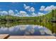 Scenic view of a pond with reflection of sky, bordered by lush trees, promoting tranquility at 20921 Haulover Cv # 8, Lutz, FL 33558