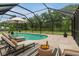 Screened in pool with patio furniture and a striped rug at 25555 Oaks Blvd, Land O Lakes, FL 34639
