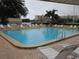 Community swimming pool with lounge chairs, palm trees, and nearby buildings at 2616 Cove Cay Dr # 104, Clearwater, FL 33760
