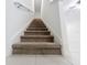 Carpeted staircase leading to the upper level of the home at 30729 Veridian Way, Wesley Chapel, FL 33543