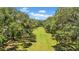 Aerial view of a grassy area surrounded by mature trees at 3144 W Waverly Park, Tampa, FL 33629