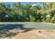 Community basketball court surrounded by lush greenery; perfect for an active lifestyle at 4418 Gentrice Dr, Valrico, FL 33596