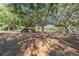 Large community playground featuring swings, slides, and play structures nestled among mature trees at 4418 Gentrice Dr, Valrico, FL 33596