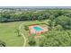 Aerial view of the pool and playground area surrounded by lush trees and green spaces at 4506 La Capri Ct, Tampa, FL 33611