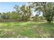 Large backyard featuring trees and a well maintained lawn at 5319 Lantana St, Zephyrhills, FL 33542