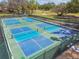 Outdoor pickleball courts featuring blue and green surfaces, well-maintained nets, and surrounded by a secure fence at 5813 Bent Grass Dr, Valrico, FL 33596