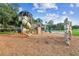 Community playground area with climbing wall, slides, climbing structures, and soft landing surface at 5813 Bent Grass Dr, Valrico, FL 33596