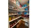 Pantry features stocked shelving with organized storage containers and food items at 5871 Oakhurst Dr, Seminole, FL 33772