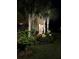 Night view of the front yard featuring palm trees and illuminated landscaping around the home's entrance at 6031 Grand Sonata Ave, Lutz, FL 33558