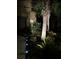 Night view of garden area that features a palm tree and low ground cover with up-lighting at 6031 Grand Sonata Ave, Lutz, FL 33558