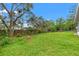 Green backyard features a spacious lawn bordered by tall trees, a fence, and partial view of screened-in porch at 6058 Waycross Dr, Spring Hill, FL 34606