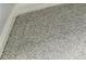 Close up of neutral gray carpet texture at 7410 E Bank Dr, Tampa, FL 33617