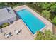 Aerial view of the community pool with ample lounge chairs, tables and tropical landscaping at 7410 E Bank Dr, Tampa, FL 33617