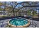 Screened-in hot tub with an attached hand rail and tile trim, surrounded by lush landscaping and greenery at 7410 E Bank Dr, Tampa, FL 33617