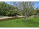 A serene backyard view features lush green grass, mature trees, and a scenic canal at 8549 Pinafore Dr, New Port Richey, FL 34653