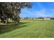 Expansive backyard featuring lush green grass, mature trees, and beautiful neighborhood views under a clear blue sky at 9724 Troncais Cir, Thonotosassa, FL 33592
