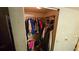 Walk-in closet featuring hanging clothes, shelving, and a glimpse into the hallway at 1107 Goshen Rd, Tarpon Springs, FL 34689