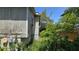 Home's exterior siding shows wear and overgrowth at 1107 Goshen Rd, Tarpon Springs, FL 34689