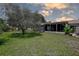 Expansive backyard featuring a healthy lawn, mature tree, and screened-in patio with an adjacent banana tree at 11334 Winwood Pl # 11334, Port Richey, FL 34668