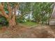Expansive backyard showcasing mature trees and landscaping, offering privacy at 1558 Cottonwood Ter, Dunedin, FL 34698