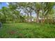Large backyard featuring lush green trees, and foliage at 1807 E Bougainvillea Ave, Tampa, FL 33612