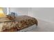 Bright bedroom with neutral carpet, patterned queen size bed, and a sitting area at 18219 Bittern Ave, Lutz, FL 33558