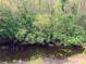Scenic view of a pond surrounded by lush greenery and trees offering a tranquil, natural backdrop at 2015 Vista Del Sol # 108, Lutz, FL 33558