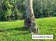 The property includes a view of the river with a Buddha statue near a majestic tree at 2015 Vista Del Sol # 108, Lutz, FL 33558