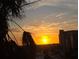 Stunning sunrise view with palm trees silhouetted against the golden sky at 2616 Cove Cay Dr # 505, Clearwater, FL 33760