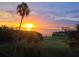 Gorgeous sunrise over a golf course with palm trees and a bridge in the distance at 2616 Cove Cay Dr # 505, Clearwater, FL 33760