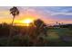Scenic sunset view over a golf course, trees, and ocean at 2616 Cove Cay Dr # 505, Clearwater, FL 33760