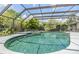 Sparkling pool in a screened enclosure surrounded by mature landscaping at 475 Holly Hill Rd, Oldsmar, FL 34677