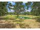 Scenic pond framed by mature trees and open field, enhancing the property's natural beauty and tranquility at 5106 Five Acre Rd, Plant City, FL 33565