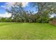 Large grassy backyard featuring lush lawn and mature trees, perfect for outdoor activities and relaxation at 512 Creekside Ct, Safety Harbor, FL 34695