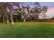 Expansive backyard featuring lush lawn and mature trees with outdoor seating area at 512 Creekside Ct, Safety Harbor, FL 34695