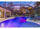 Vibrant screened pool with colorful LED lights, lush landscaping, and seamless access to outdoor entertainment at 512 Creekside Ct, Safety Harbor, FL 34695