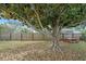 Fenced backyard with a large tree providing shade, and a picnic table at 8524 Winter Haven Dr, Hudson, FL 34667