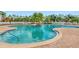 Community pool featuring clear turquoise water, a small island with palm trees, and plenty of deck space for lounging at 9008 Egret Cove Cir, Riverview, FL 33578