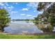 Beautiful community pond view showcasing the tranquil scenery and surrounding neighborhood at 11638 Branch Mooring Dr, Tampa, FL 33635