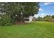 Lush backyard featuring green grass, tropical foliage, mature trees, and partial view of screened porch at 1717 Osprey Ln, Lutz, FL 33549