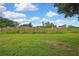 Photo of a large, grassy backyard space with some tall wetland vegetation beyond the lawn at 1717 Osprey Ln, Lutz, FL 33549
