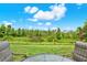 Backyard view of landscaping and neighborhood from outdoor table set on lawn at 1737 Bonita Bluff Ct, Ruskin, FL 33570