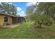 Lush backyard with mature trees and access to a serene canal, perfect for relaxing at 17706 Morninghigh Dr, Lutz, FL 33549